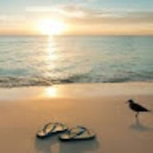 Meet your Posher, Ivan